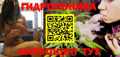дмт Тара
